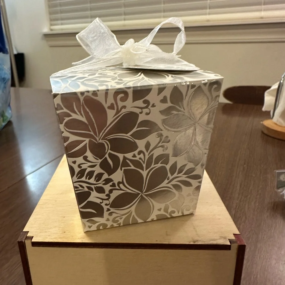 Elegant Plumeria Favor Boxes (2 pkgs of 12) - Silver and White